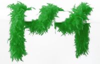 Wilbers & Wilbers Groene Veren Boa - 180 cm - 65 Gram