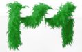 Wilbers & Wilbers Groene Veren Boa - 180 cm - 65 Gram