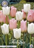 Dutch Flower Lady Sweet Candy Garden Tulpenbollen 10 stuks bolmaat 12+