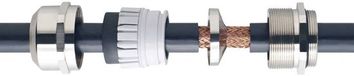 Wiska 10102279 Wartel M50 Messing (vernikkeld) Natuur 10 stuk(s)
