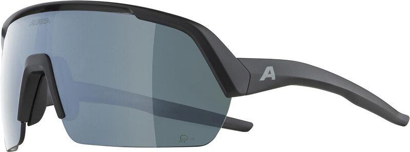 Alpina Turbo HR Q-Lite Goggles, Black