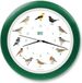 KOOKOO Zangvogels Wandklok - Groen