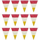 Merkloos / Sans marque Den Bosch 5x stuks carnaval vlaggetjes - 10 meter - plastic - rood-wit-geel