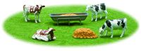 NewRay FARM PLAY SET, 05515