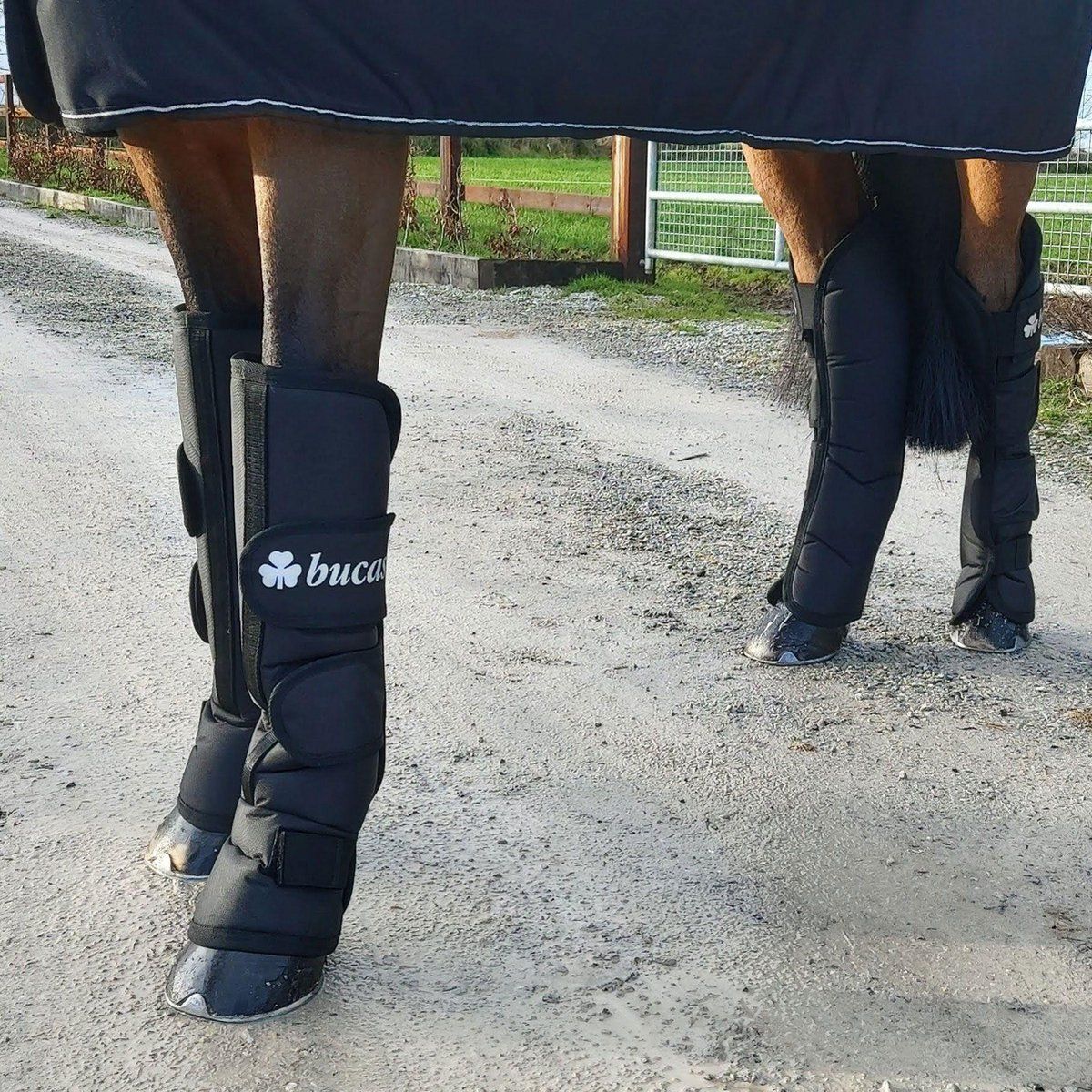 Bucas Boots 2020 Transportbeschermers Full Zwart