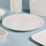 Seletti Estetico Quotidiano dinerbord Wit Keramiek
