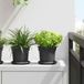 Maison Exclusive - Fond de pot de fleurs rond, 24 pièces, noir, Ø 14 x 2 cm, plastique