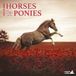 Magnet & Steel Paarden & ponies - Wandkalender 2022