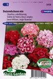 Sluis Garden Duizendschoon Enkelbloemig Gemengd (Dianthus)