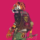 Bertus Distributie CRX New Skin