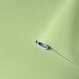 Venilia Plakfolie, pistachegroen, effen mat, lichtgroen, pastelgroen, pistachegroen, 67,5 cm x 2 m, zelfklevende meubelfolie, decoratiefolie, behang, keukenfolie, pvc zonder ftalaten, made in EU