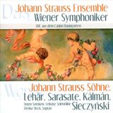 Source1 Johann Straub Ensemble Der Wiener Symphoniker - Johann Strauss Söhne (CD)