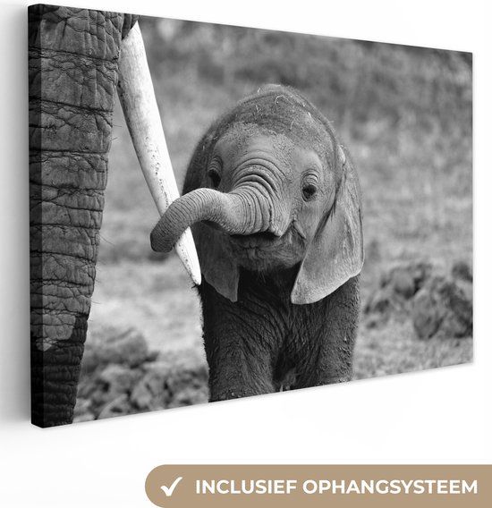 OneMillionCanvasses Canvas schilderij Olifant Zwart Wit 30x20 cm