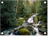 Poster de jardin Cascade - Vert - Nature - Arbres - Pierres - 40x30 cm - PVC