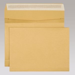 Elco 700909 Enveloppen geel Papier 250 mm 250 stuks