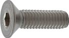 Hoenderdaal Inbusbout RVS PK A2 M5x30mm