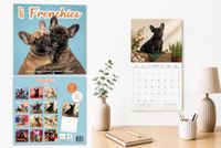Plenty Gifts Franchies Studio Kalender 2027