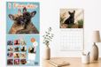 Plenty Gifts Franchies Studio Kalender 2027
