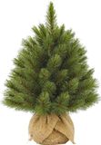 Triumph Tree Forest Frosted burlap kunstkerstboom met jute 45cm