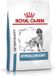 Royal Canin Hypoallergenic Hond (DR 21) - 2 x 2 kg