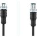 Escha 8046933 Sensor/actuator connector, M12, 8-pole, straight female, 5m