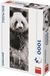 Dino Puzzle Panda in the Grass - 1000 pieces
