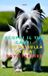 Scopri Bol Scopri il tuo Cane - Paperback