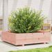 Maison Exclusive - Jardinière en bois de Douglas massif, dimensions 90x90x26,5 cm
