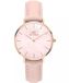 Daniel Wellington Petite Rouge Dameshorloge - DW00100514 - 32mm