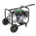 Ribimex PRMPC212/60 water pomp