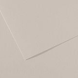 Canson Mi-Teintes Papel de Color de Pulpa Teñida, 160 g/m2, Gris (Pearl Grey - 120), 21x29,13, Pack van 25