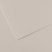 Canson Mi-Teintes Papel de Color de Pulpa Teñida, 160 g/m2, Gris (Pearl Grey - 120), 21x29,13, Pack van 25