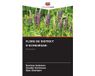 FLORE Editions Notre Savoir Flore Du District d'Uchkurgan Paperback