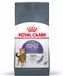 Royal Canin Appetite Control Care - 10 kg - Kattenvoer