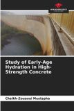 Study Our Knowledge Publishing Study of Early-Age Hydration in High-Strength Concrete Paperback