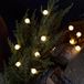 Merkloos / Sans marque 50 Warm Wit LED Batterij Operated Berry String Fairy Lights - Indoor en Outdoor Gebruik - 1.5m
