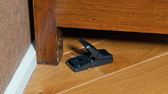 HG X muizenval 2 stuks