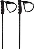 Völkl Volkl Speedstick Stokken Zilver 125 cm