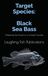 Target Black Sea Bass: Mastering the Pursuit of a Coastal Favorite