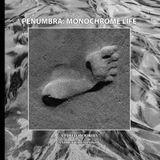 PENUMBRA: MONOCHROME LIFE