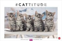 Whiskas Katzenkalender 2026: Foto-Wandkalender mit süßen Katzen und lustigen Geschichten. Wandkalender 2026 in schönem Design. Bildkalender 2026. Querformat 45 x 30 cm.