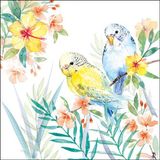 Ambiente Lunch Servetten Budgies couple - 33x33 cm