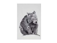 Maxwell & Williams Marini Ferlazzo Theedoek met Wombat, 100% Katoenen Keukendoek, Wit, 50 x 70 Centimeter