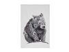 Maxwell & Williams Marini Ferlazzo Theedoek met Wombat, 100% Katoenen Keukendoek, Wit, 50 x 70 Centimeter