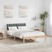 Maison Exclusive - Cadre de lit, brun et gris foncé, 120 x 200 cm, pin massif
