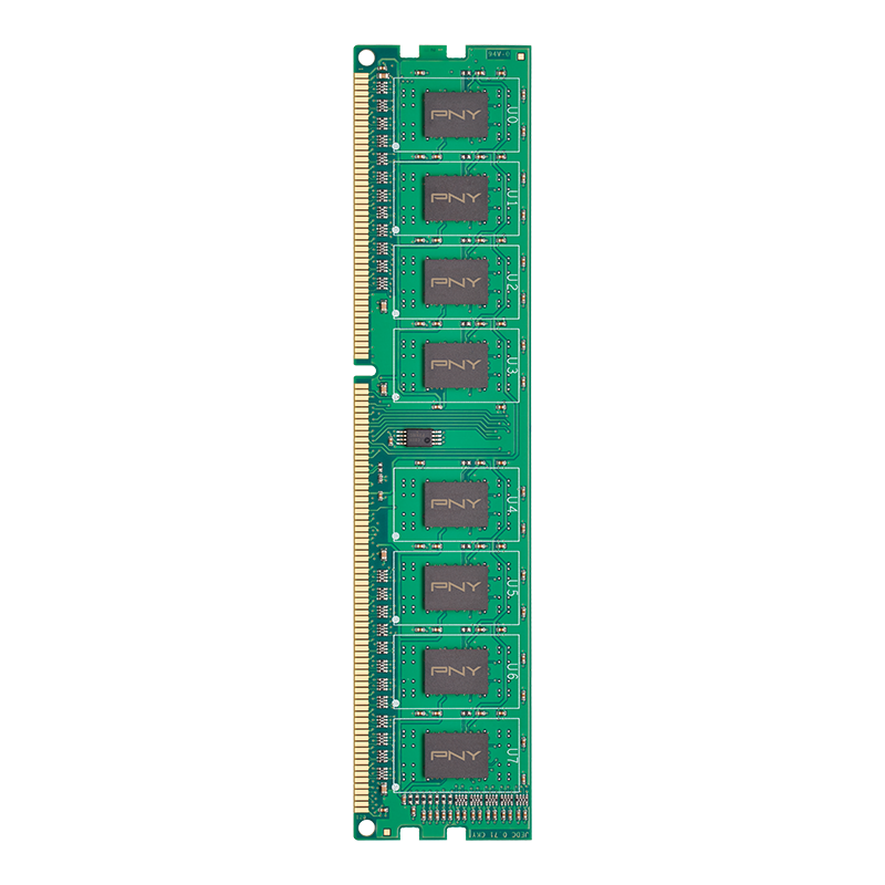 PNY 8GB DDR3 1600MHz - MD8GSD31600NHS