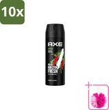 Axe Déodorant Spray Africa - 150 ml - 10 pièces