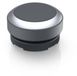 RAFI 1.30.270.021/0700 RAFIX 22 FS Bouton-poussoir momentané gris clair plastique