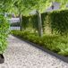vidaXL Gazonrand 20 st 102 x 10 x 4 cm Staal Zwart
