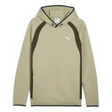 PUMA EVOSTRIPE Hoodie DK